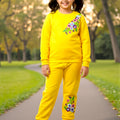Winter Fleece Embroidery Tracksuit