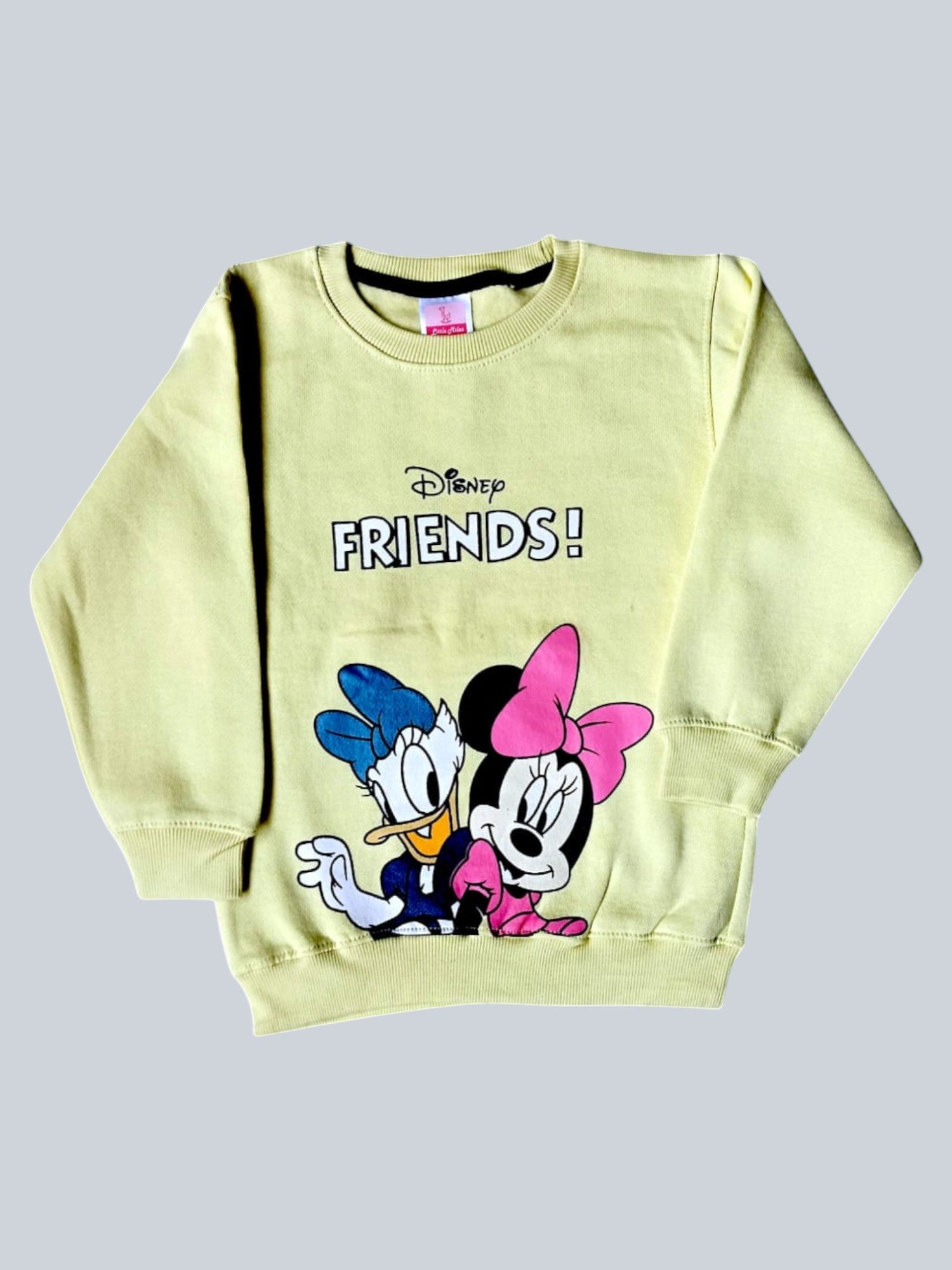 Winter Sweatshirt